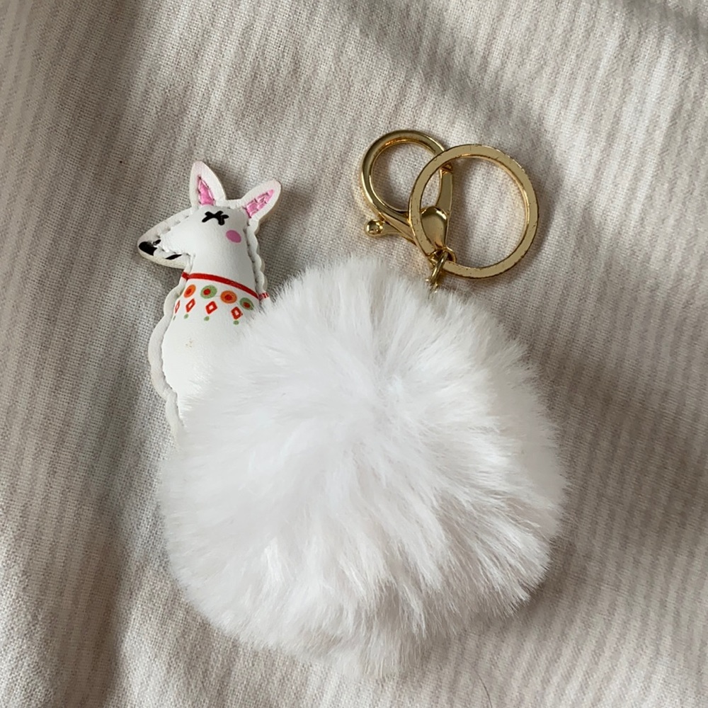Key chain